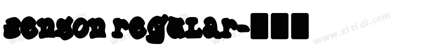 Benson Regular字体转换